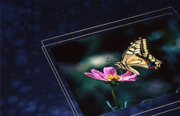 photo of LCD substrate glass