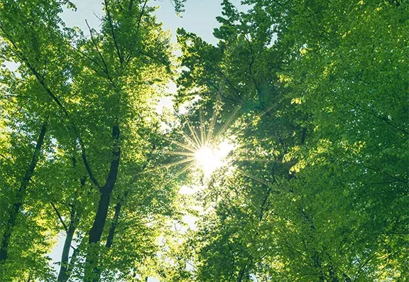 図：労働災害度数率