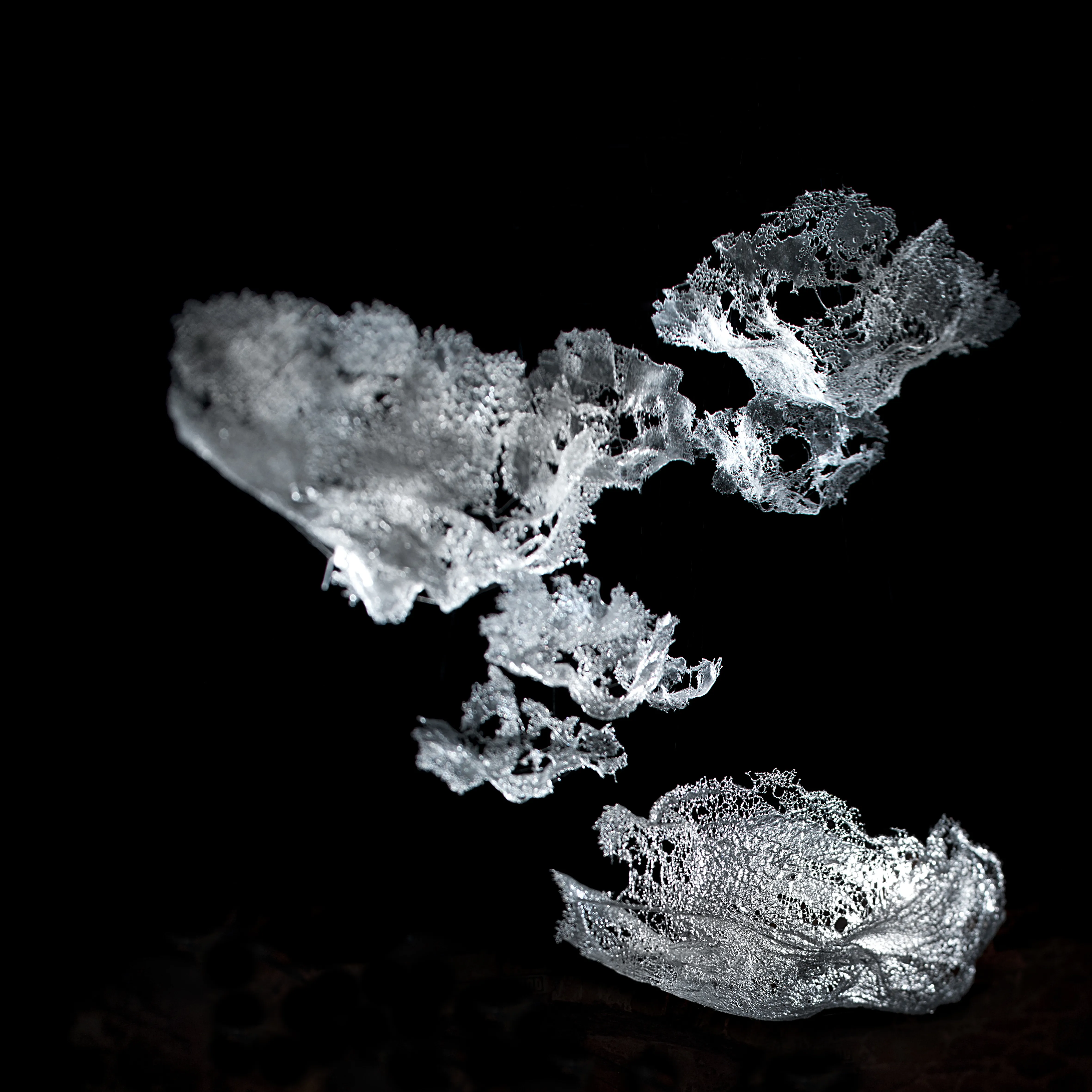 タンニャ・パァク ≪rêverie≫ 2022年、 富山市ガラス美術館蔵